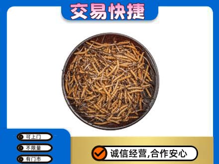 吉林市回收散虫草